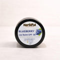 Blueberry Lip Balm SPF 30 8gm — Deep Hydration & Sun Protection for Soft, Healthy Lips