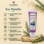 Blueberry Gel Cream 50gm — Brightening & Deep Hydration Moisturizer with Hyaluronic Acid & Niacinamide