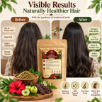 Herbiful Essentials Herbal Hair Protein Pack | Ayurvedic Hair Care | 100g